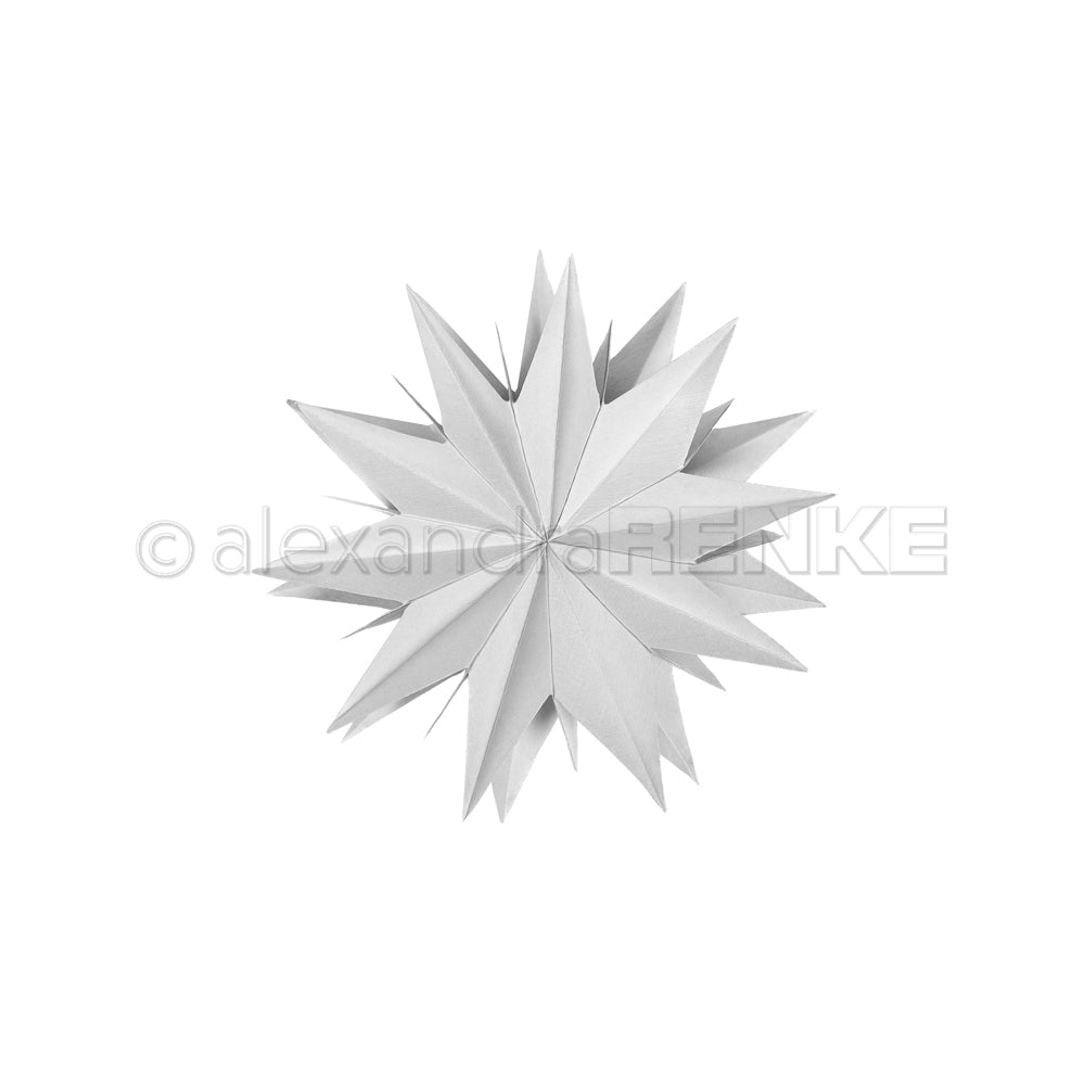 Die 'Star segment Basic large' - D-AR-3D0095 - A. RENKE