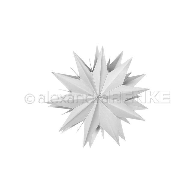 Die 'Star segment Basic large' - D-AR-3D0095 - A. RENKE