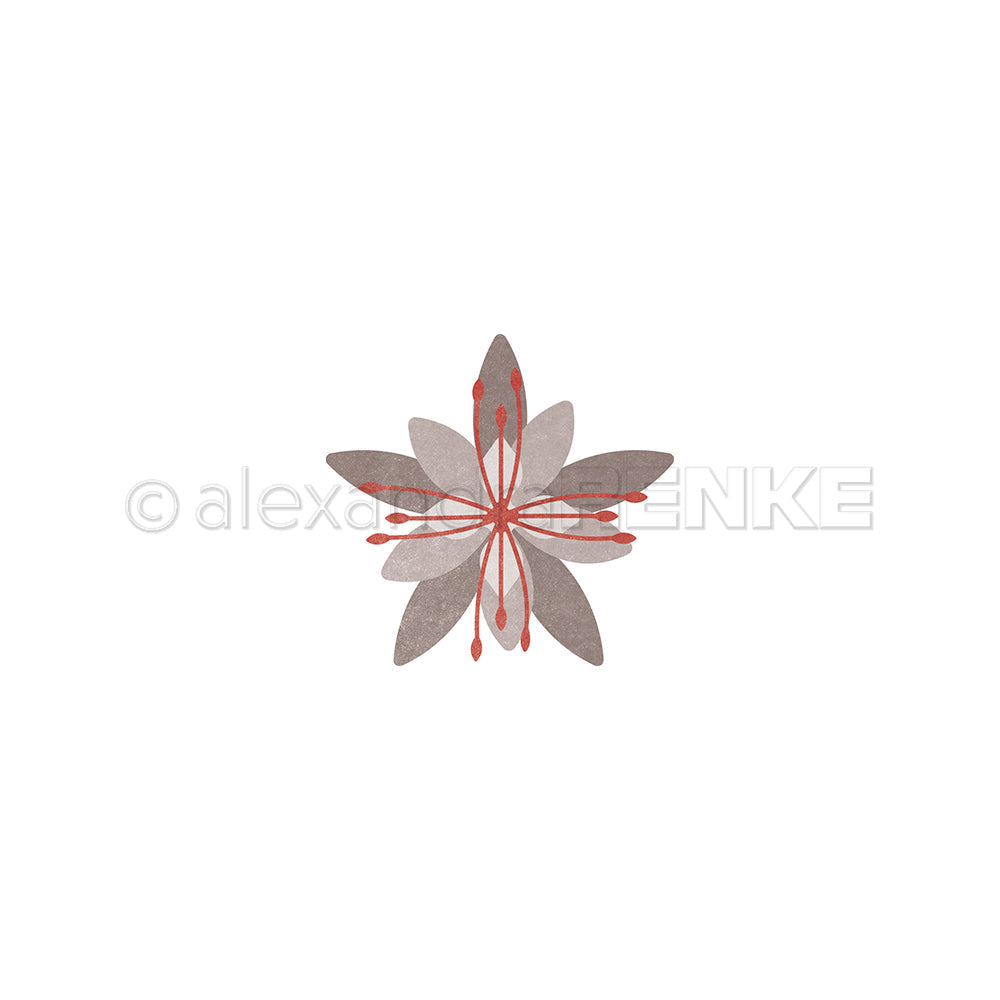 D-AR-3D0195 Set Fustelle '3D Sternblume' - A.RENKE