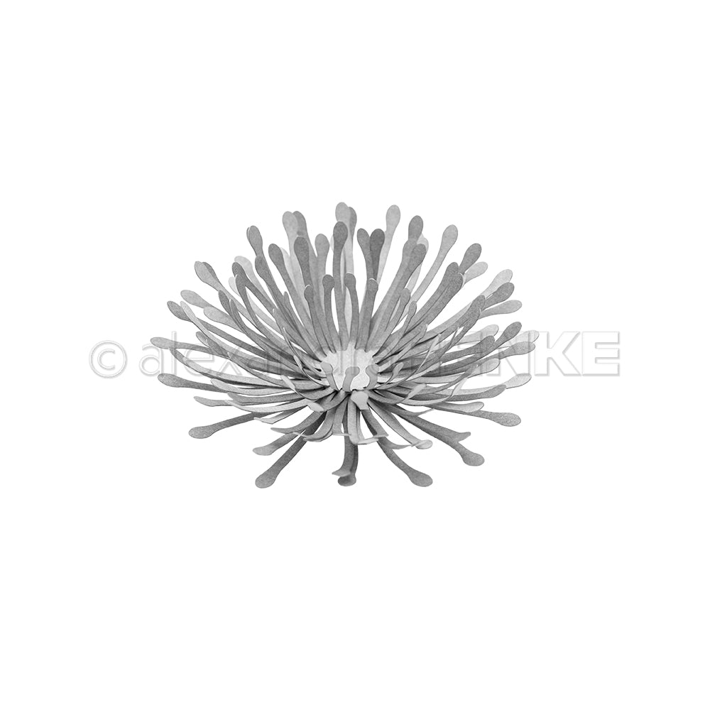 D-AR-3D0202 Set Fustelle '3D Pusteblume' A.RENKE