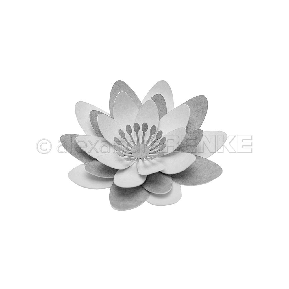D-AR-3D0205 Set Fustelle '3D 3D Sternensee Rose' A.RENKE