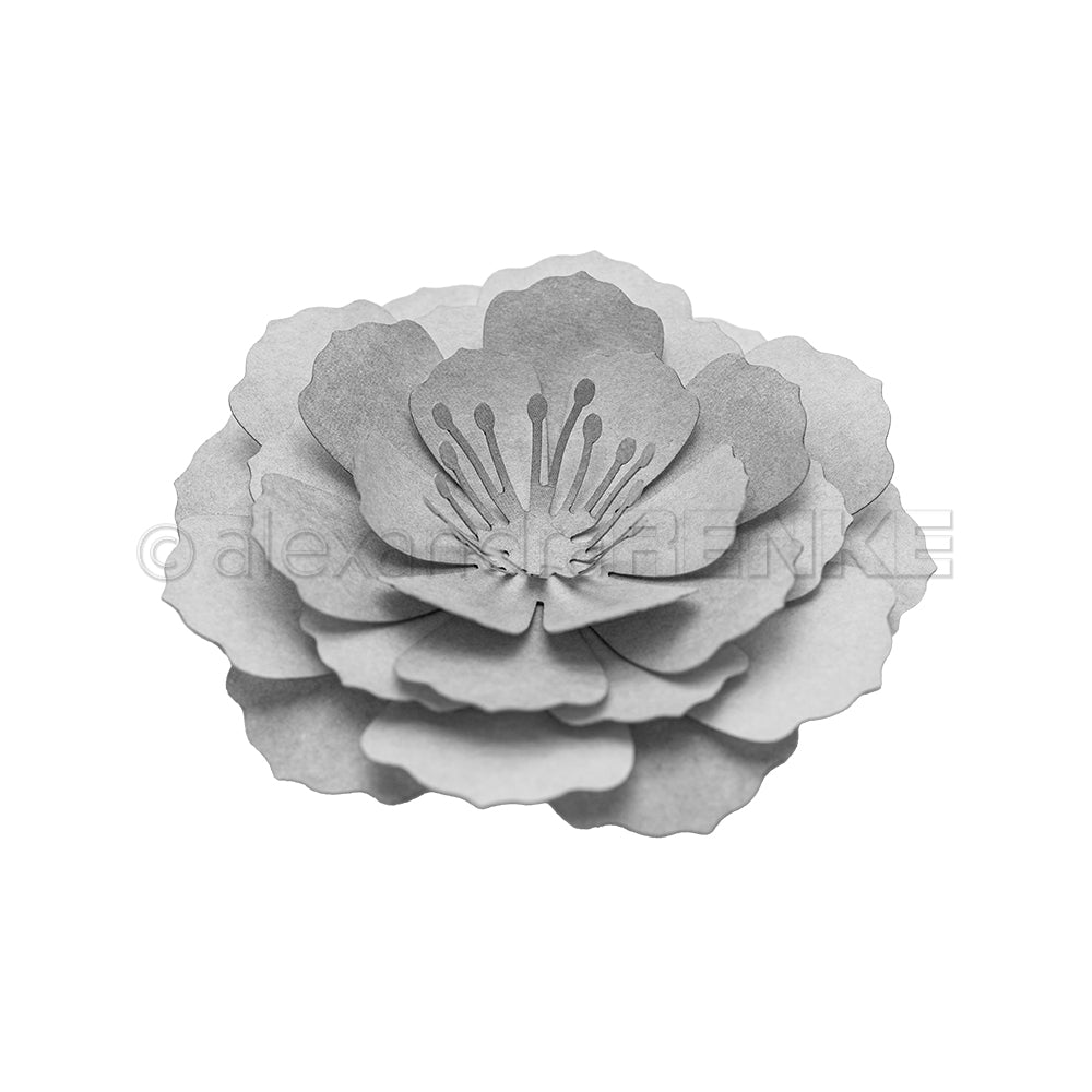 D-AR-3D0206 Set Fustelle '3D  Pfingstmond Blume' A.RENKE