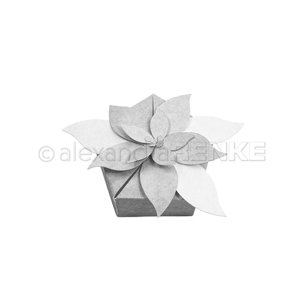 Set Fustelle 'Weihnachtsstern Box'