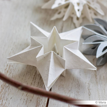 'Double folding star' die - D-AR-3D0117 - A. RENKE