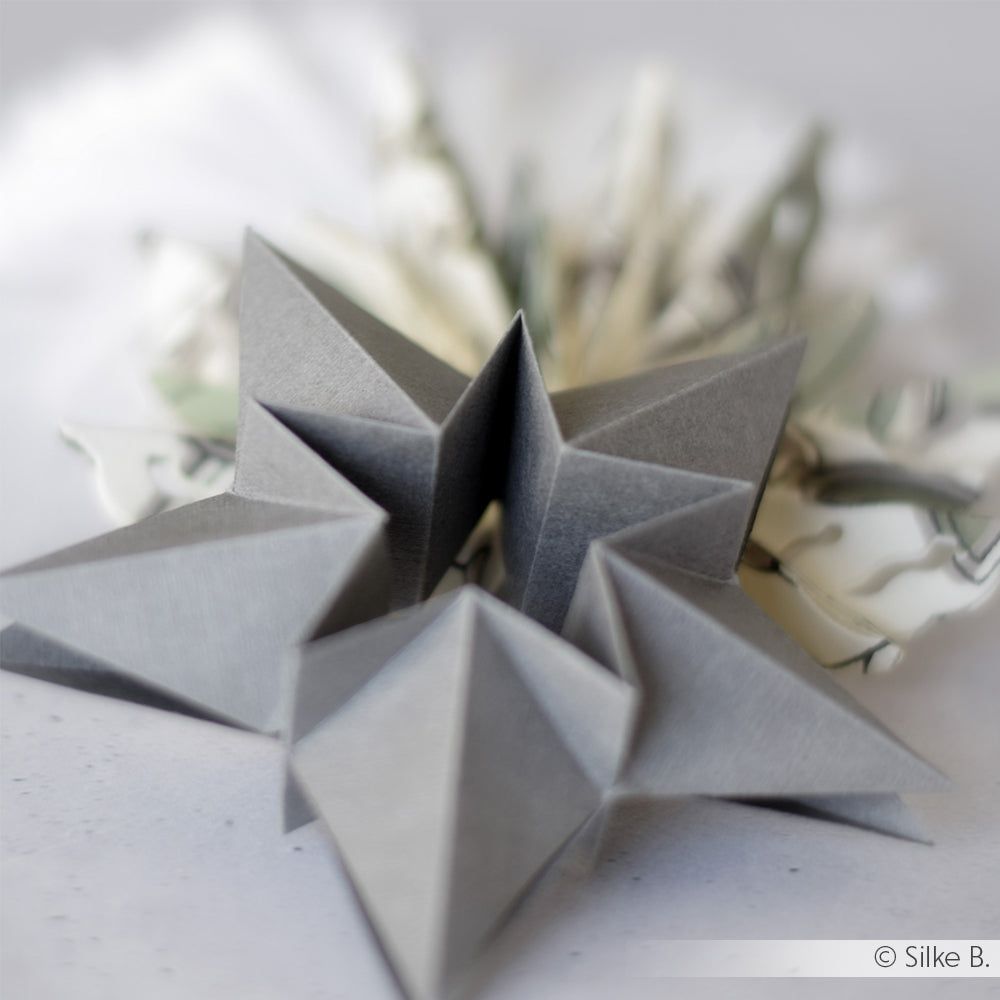 Fustella 'Double folding star' - D-AR-3D0117 - A. RENKE