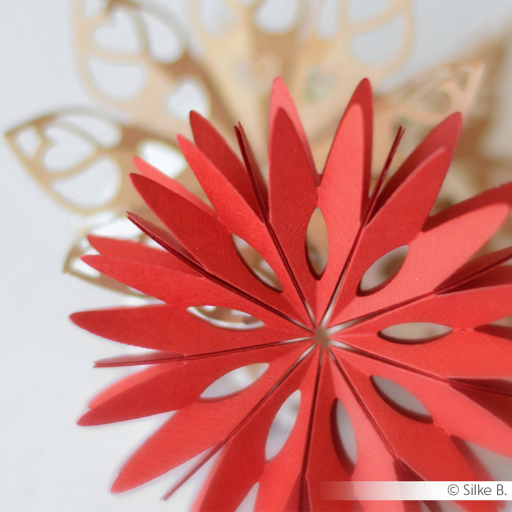 'Star segment double tip' die - D-AR-3D0086 - A. RENKE