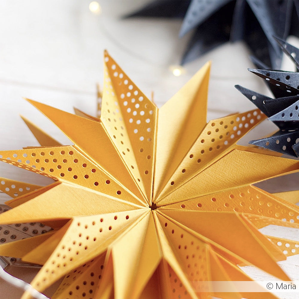 Die 'Star segment with hole pattern' - D-AR-3D0091 - A. RENKE