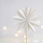 Fustella 'Star segment asterisk' - D-AR-3D0089 - A. RENKE