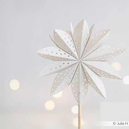 Fustella 'Star segment asterisk' - D-AR-3D0089 - A. RENKE