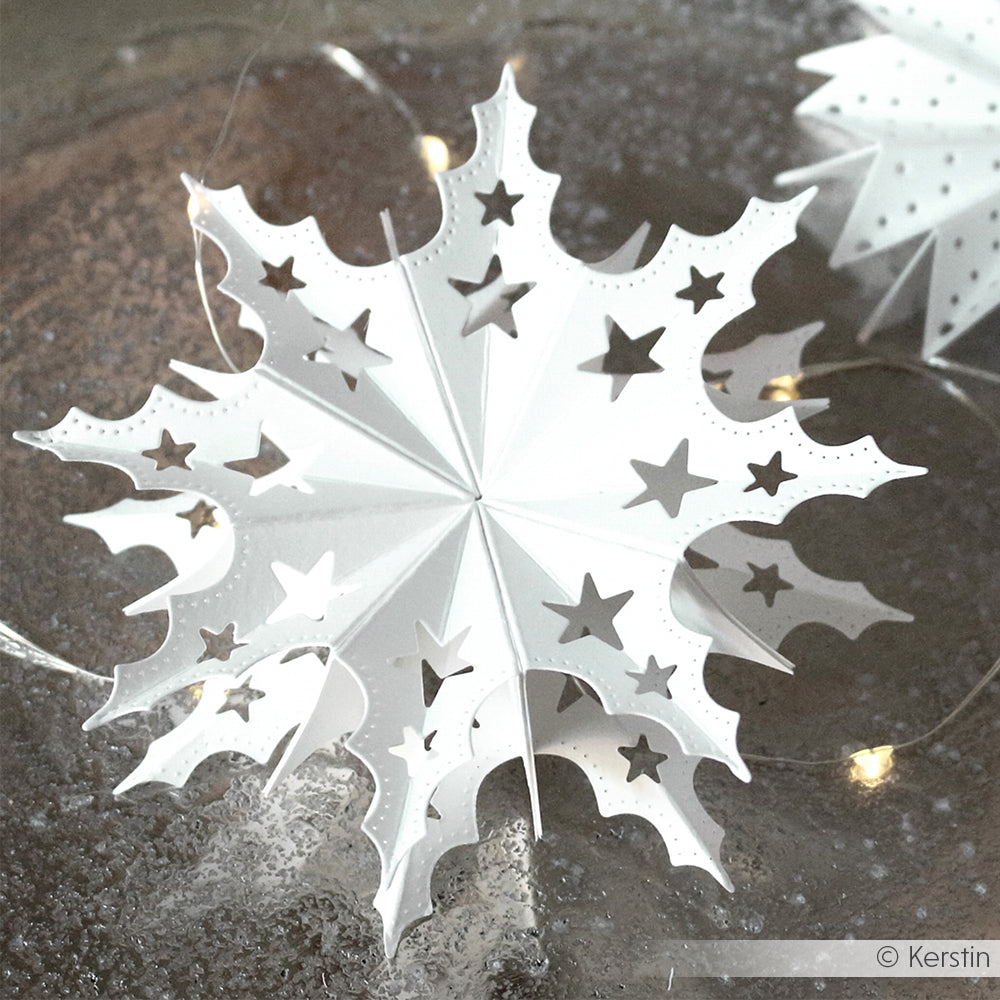 Fustella 'Star segment with stars' - D-AR-3D0090 - A. RENKE