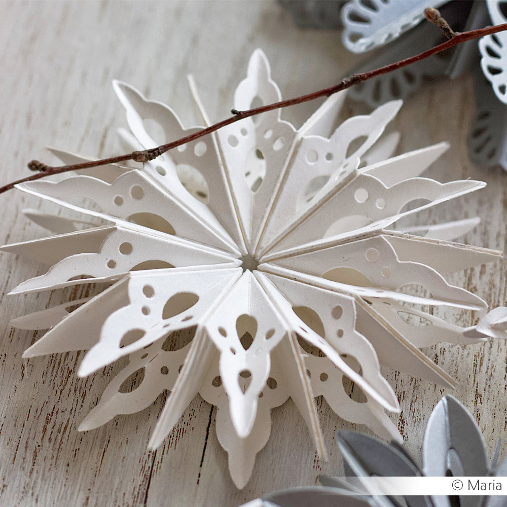 'Star segment curved' die - D-AR-3D0087 - A. RENKE