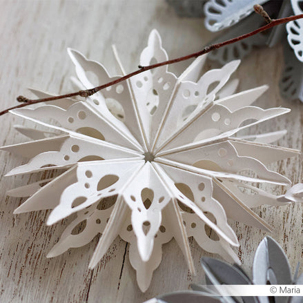 Fustella 'Star segment curved' - D-AR-3D0087 - A. RENKE