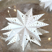 Fustella 'Star segment points large' - D-AR-3D0098 - A. RENKE