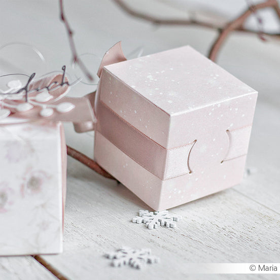 Fustella 'Ribbon box'- D-AR-3D0074- A.RENKE