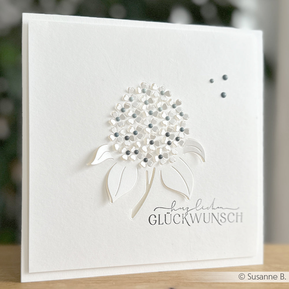 D-AR-FL0294 Die 'Negativ-Blume 1' - A. RENKE