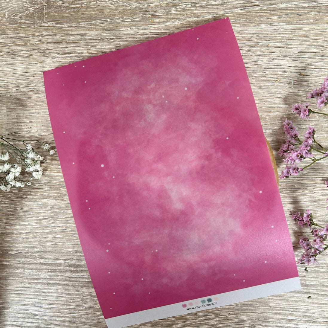 SET CARTE -  DOUDOULAND "LES ASTROS" - AST117 - CHOU & FLOWERS