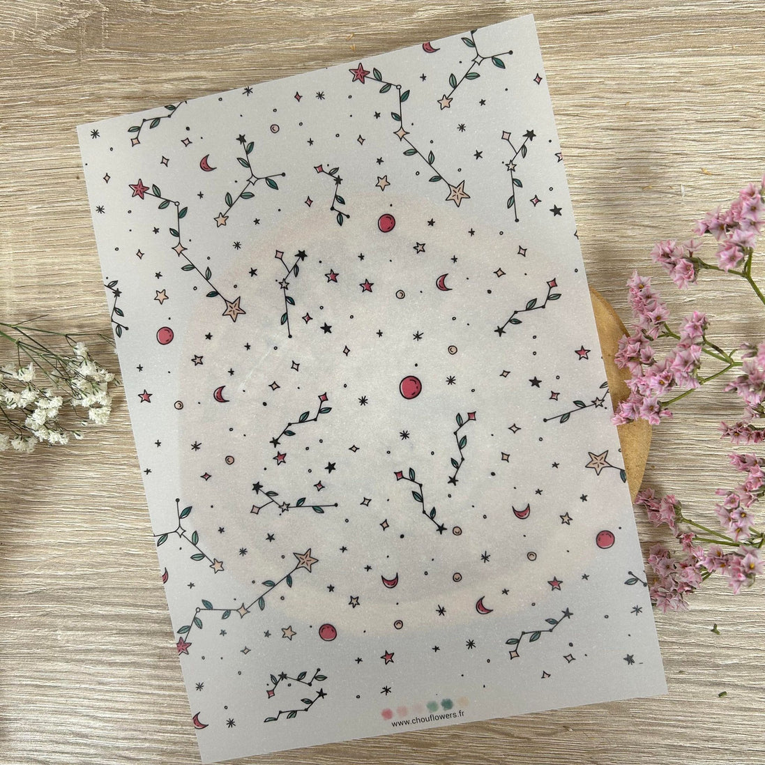 SET CARTE -  DOUDOULAND "LES ASTROS" - AST117 - CHOU & FLOWERS