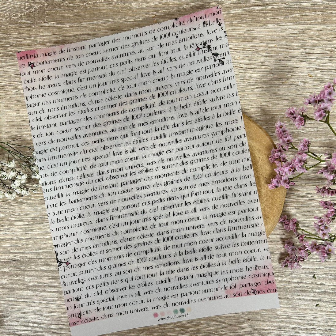 SET CARTE -  DOUDOULAND "LES ASTROS" - AST117 - CHOU & FLOWERS