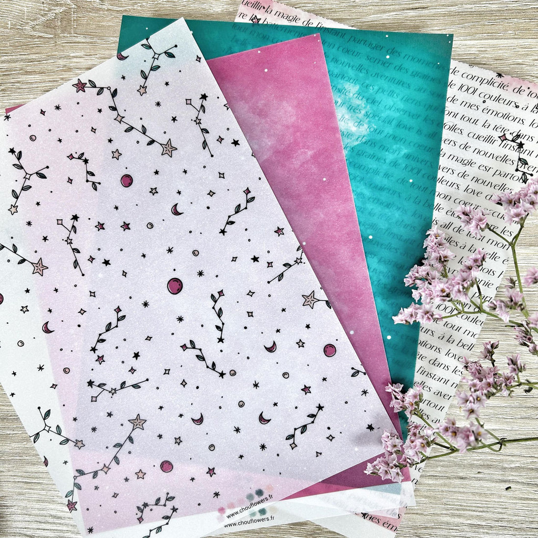 SET CARTE -  DOUDOULAND "LES ASTROS" - AST117 - CHOU & FLOWERS