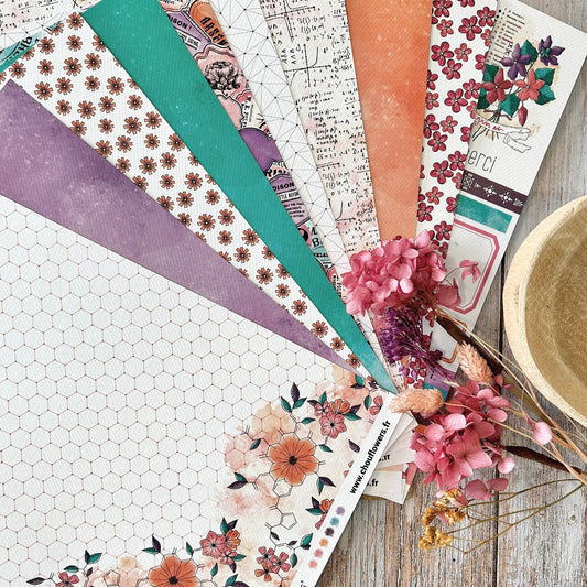SET CARTE -PAPETERIE CREATIVE CABINET DE CURIOSITES  - CAB133 - CHOU & FLOWERS