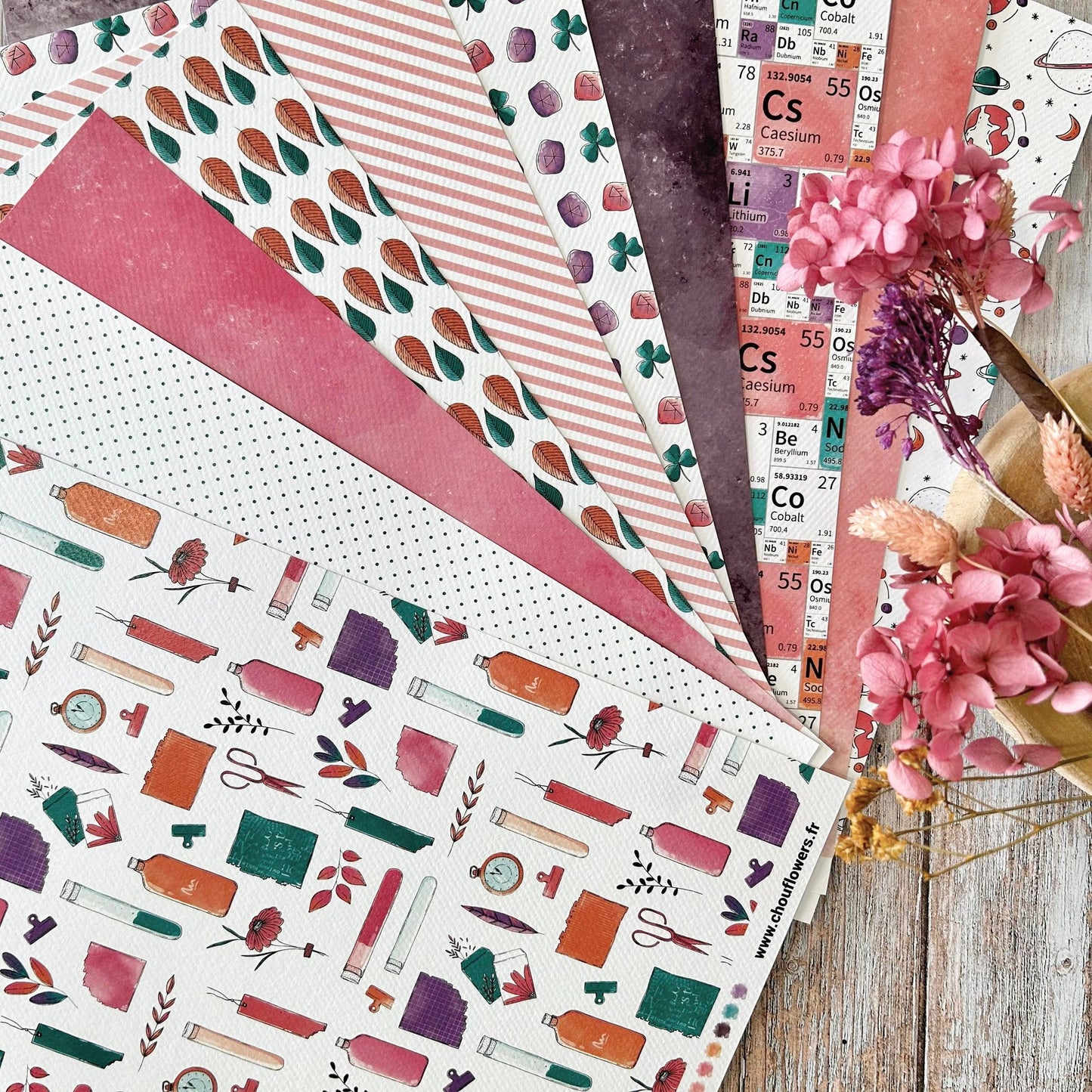 SET CARTE -PAPETERIE CREATIVE CABINET DE CURIOSITES  - CAB133 - CHOU & FLOWERS