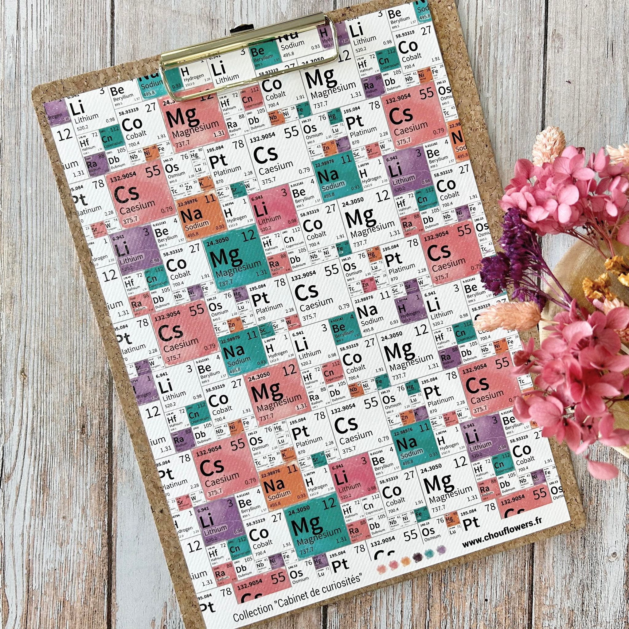 SET OF CARDS - CREATIVE PAPETERIE CABINET DE CURIOSITES - CAB133 - CHOU & FLOWERS