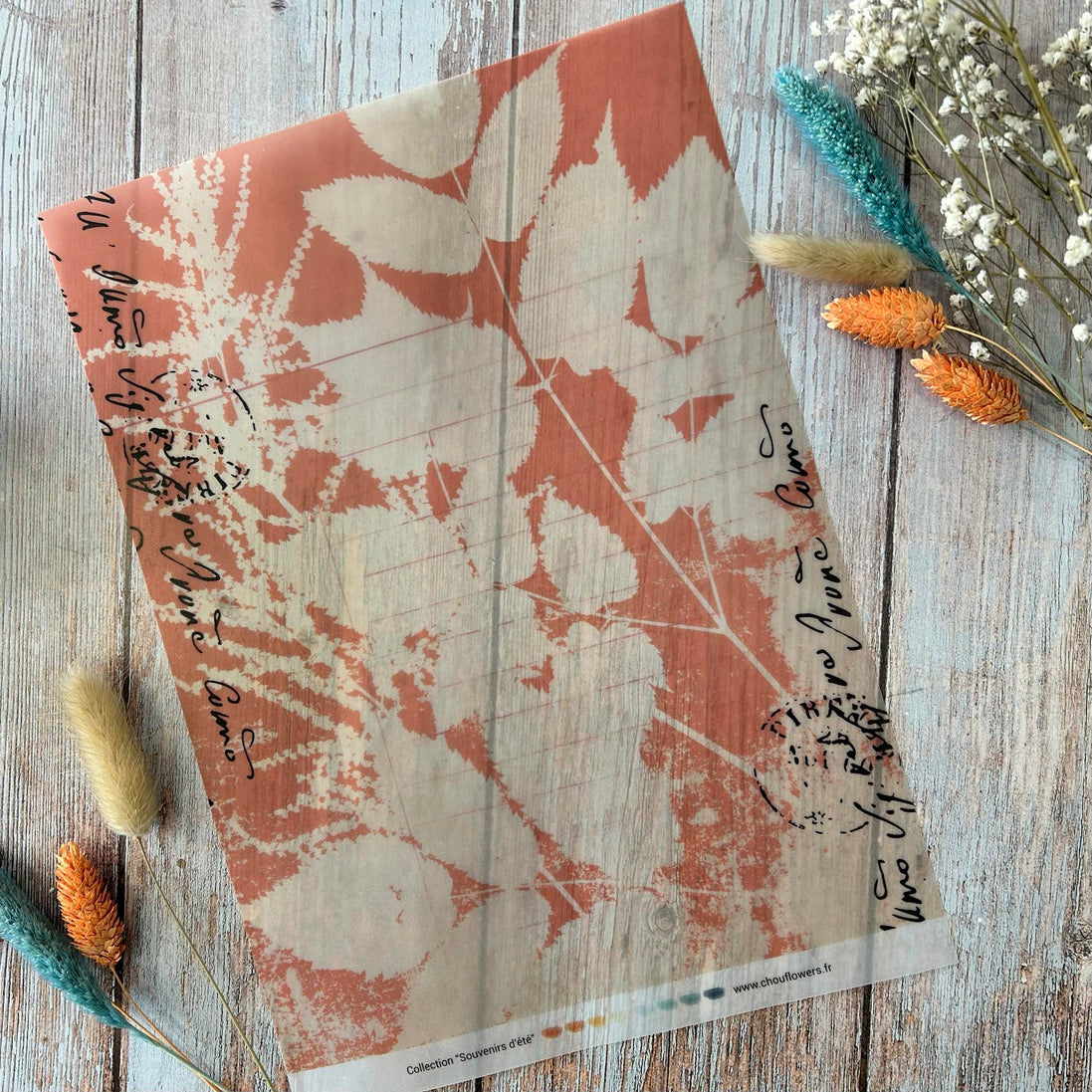 SET OF CARDS - JUNK SOUVENIRS D'ETE - BRE139 - CHOU &amp; FLOWERS