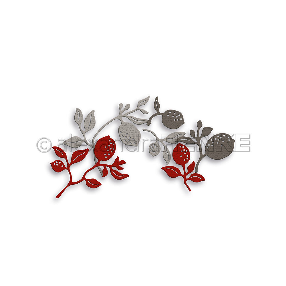 Set Fustelle 