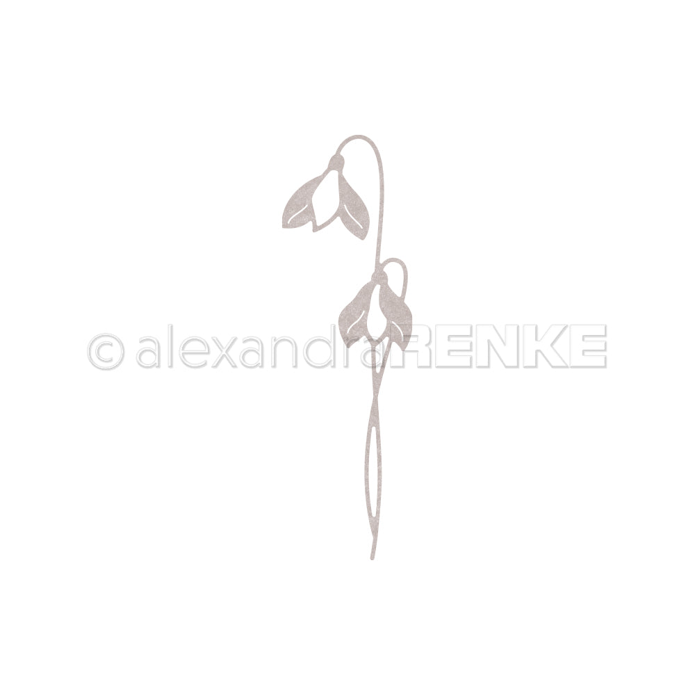 D-AR-FL0283 Fustella 'Snowdrop 2' - A. RENKE