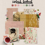 SET CARTE - JUNK SOLEIL LEVANT - SOL139 - CHOU & FLOWERS