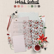 SET CARTE - SOLEIL LEVANT - SOL140 - CHOU & FLOWERS