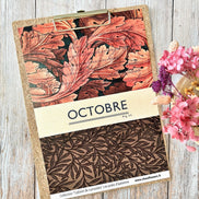 SET OF CARDS-LES JUNKS D'AUTOMNE CABINET DE CURIOSITES - CAB134 - CHOU & FLOWERS