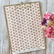 SET OF CARDS-LES JUNKS D'AUTOMNE CABINET DE CURIOSITES - CAB134 - CHOU & FLOWERS