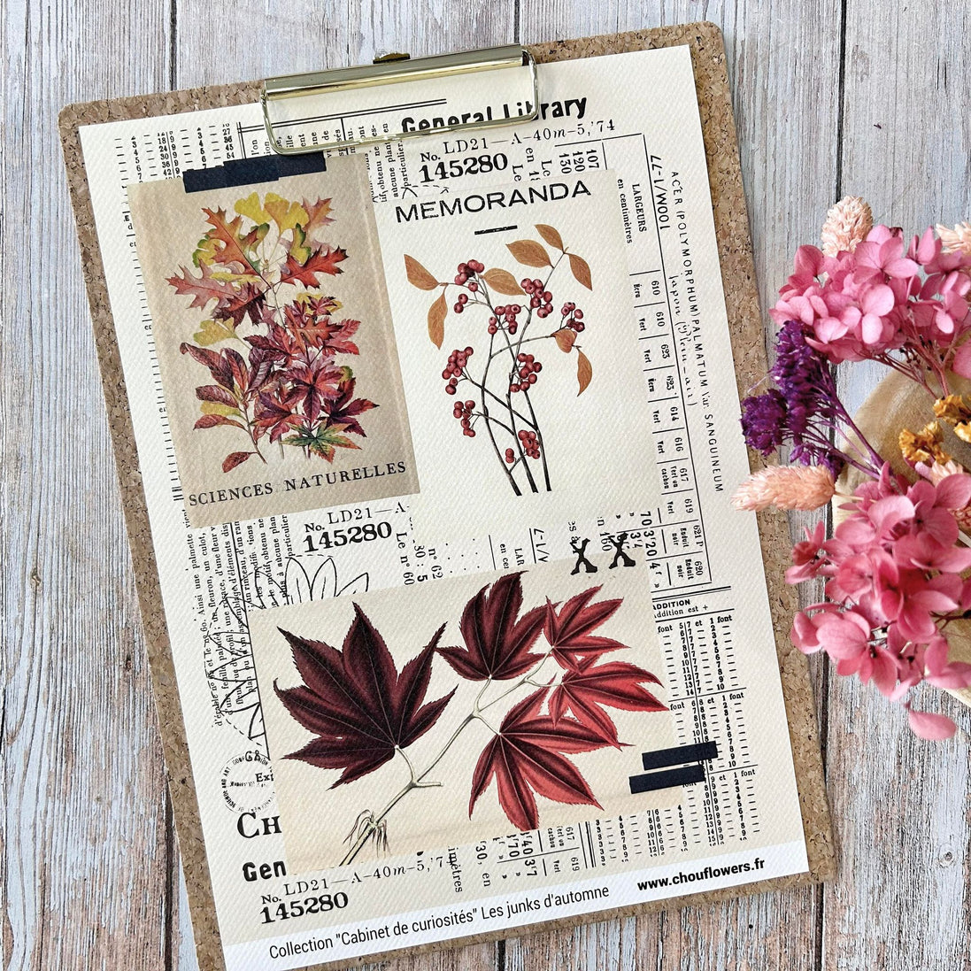 SET OF CARDS-LES JUNKS D'AUTOMNE CABINET DE CURIOSITES - CAB134 - CHOU &amp; FLOWERS