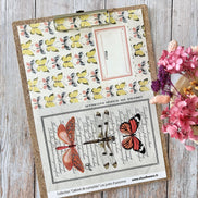 SET OF CARDS-LES JUNKS D'AUTOMNE CABINET DE CURIOSITES - CAB134 - CHOU & FLOWERS
