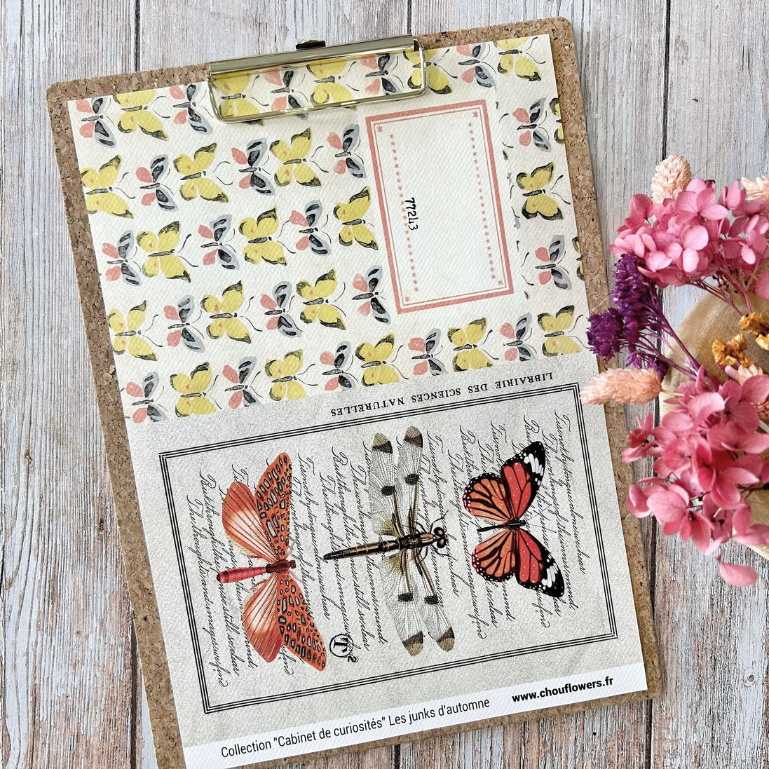 SET OF CARDS-LES JUNKS D'AUTOMNE CABINET DE CURIOSITES - CAB134 - CHOU &amp; FLOWERS