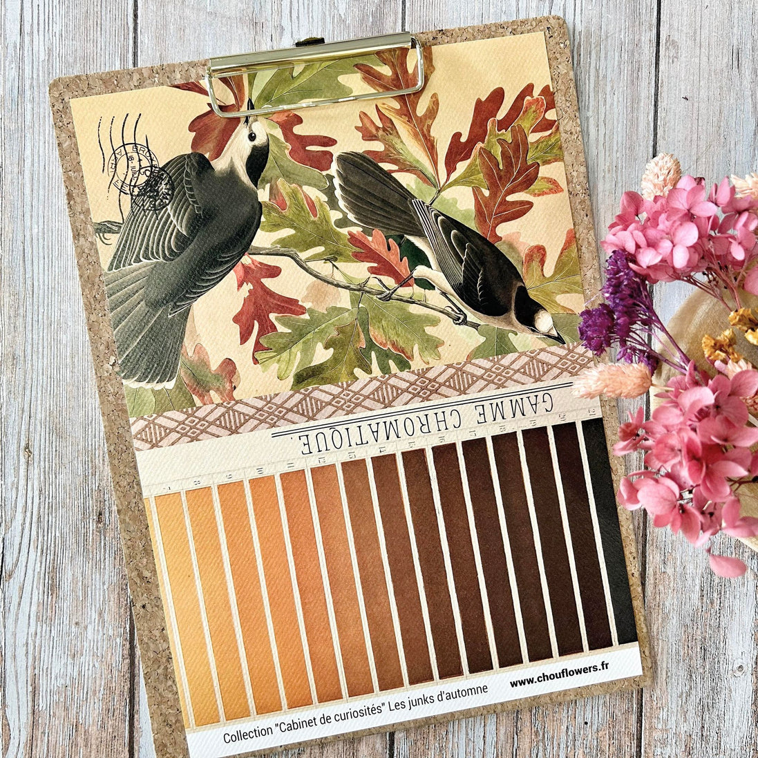 SET OF CARDS-LES JUNKS D'AUTOMNE CABINET DE CURIOSITES - CAB134 - CHOU &amp; FLOWERS