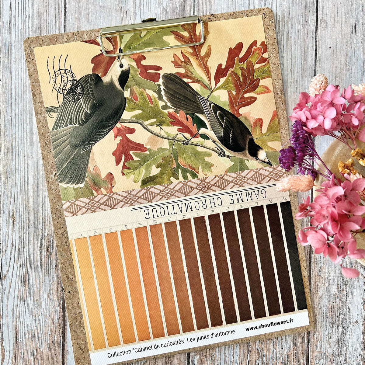 SET OF CARDS-LES JUNKS D'AUTOMNE CABINET DE CURIOSITES - CAB134 - CHOU & FLOWERS