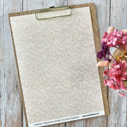 SET OF CARDS-LES JUNKS D'AUTOMNE CABINET DE CURIOSITES - CAB134 - CHOU & FLOWERS