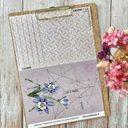 SET OF CARDS-LES JUNKS D'AUTOMNE CABINET DE CURIOSITES - CAB134 - CHOU & FLOWERS