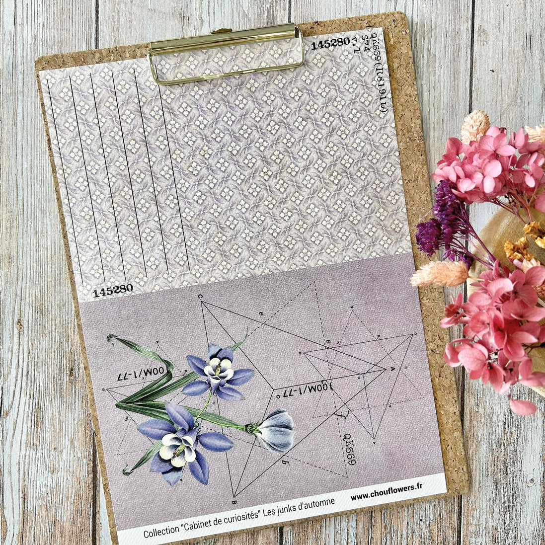SET OF CARDS-LES JUNKS D'AUTOMNE CABINET DE CURIOSITES - CAB134 - CHOU &amp; FLOWERS