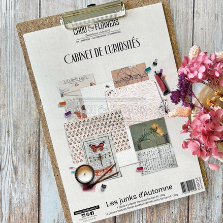 SET OF CARDS-LES JUNKS D'AUTOMNE CABINET DE CURIOSITES - CAB134 - CHOU &amp; FLOWERS
