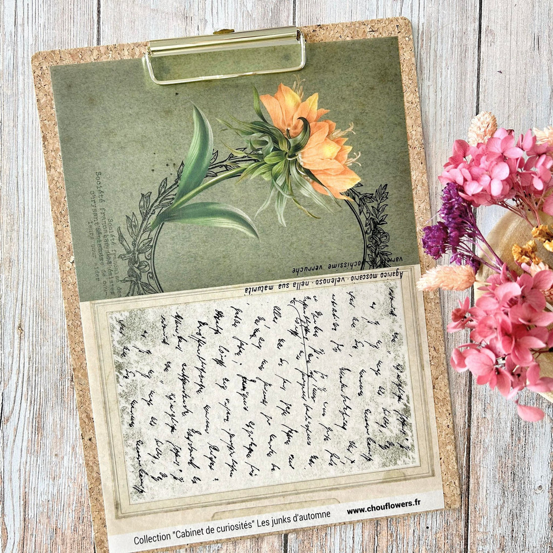 SET OF CARDS-LES JUNKS D'AUTOMNE CABINET DE CURIOSITES - CAB134 - CHOU &amp; FLOWERS