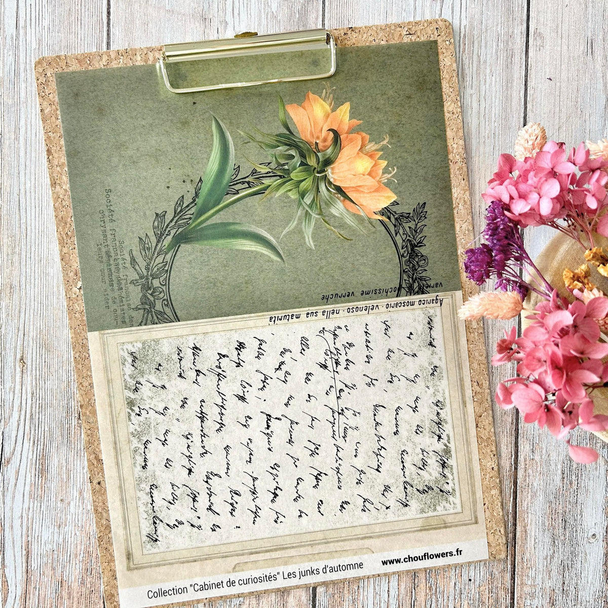 SET OF CARDS-LES JUNKS D'AUTOMNE CABINET DE CURIOSITES - CAB134 - CHOU & FLOWERS