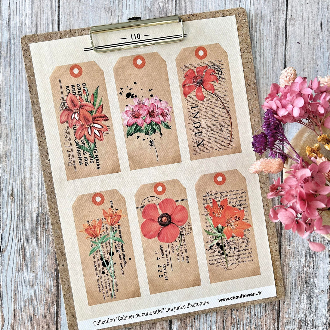 SET OF CARDS-LES JUNKS D'AUTOMNE CABINET DE CURIOSITES - CAB134 - CHOU &amp; FLOWERS