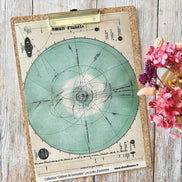 SET OF CARDS-LES JUNKS D'AUTOMNE CABINET DE CURIOSITES - CAB134 - CHOU & FLOWERS