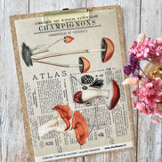 SET OF CARDS-LES JUNKS D'AUTOMNE CABINET DE CURIOSITES - CAB134 - CHOU & FLOWERS