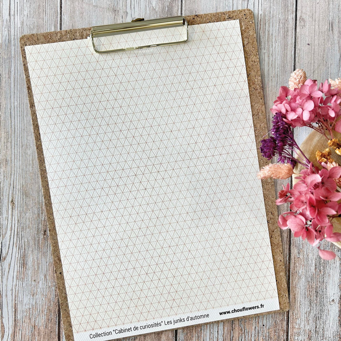 SET OF CARDS-LES JUNKS D'AUTOMNE CABINET DE CURIOSITES - CAB134 - CHOU &amp; FLOWERS