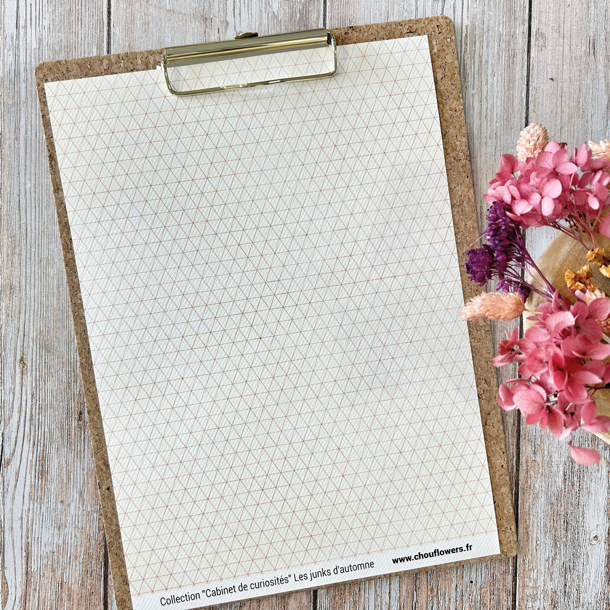 SET OF CARDS-LES JUNKS D'AUTOMNE CABINET DE CURIOSITES - CAB134 - CHOU & FLOWERS