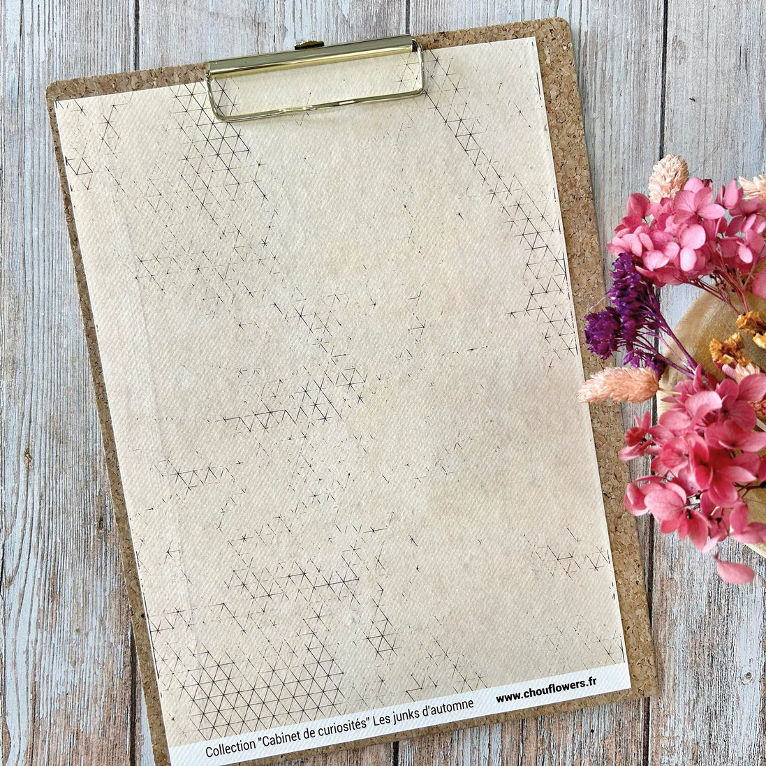 SET OF CARDS-LES JUNKS D'AUTOMNE CABINET DE CURIOSITES - CAB134 - CHOU &amp; FLOWERS